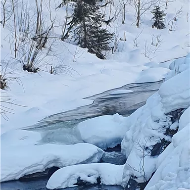 Ein schmaler Fluss fließt durch eine winterliche Landschaft mit viel Schnee. Einige schneebedeckte Felsen liegen am Ufer.