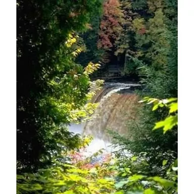 A picturesque waterfall, surrounded by lush greenery and colorful autumn leaves. The serene atmosphere invites relaxation.