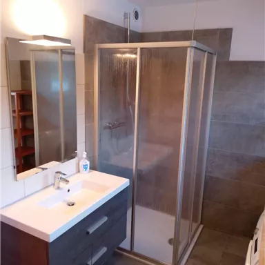 A modern bathroom with a shower and a washbasin. The walls are in neutral gray tones.