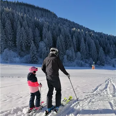 An adult and a child are standing in the snow, ready to ski. In the background, there are snow-covered trees and a clear blue sky.