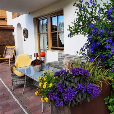 A cozy terrace with a table and chairs, surrounded by colorful flowers. There is an inviting atmosphere and plenty of greenery, perfect for relaxing.