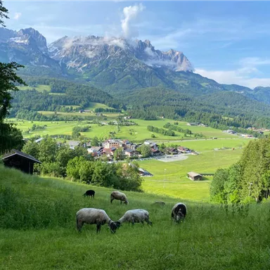 A picturesque landscape with green meadows and cows. In the background, majestic mountains and a small village can be seen.