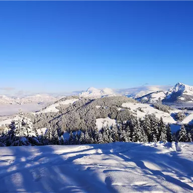 Eine verschneite Landschaft mit hohen Bergen und dichten Wäldern. Der klare blaue Himmel lässt die Szene strahlend wirken.