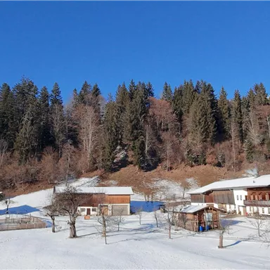 A winter landscape with several huts and snow-covered areas. In the background, high, forested mountains rise under a radiant blue sky.