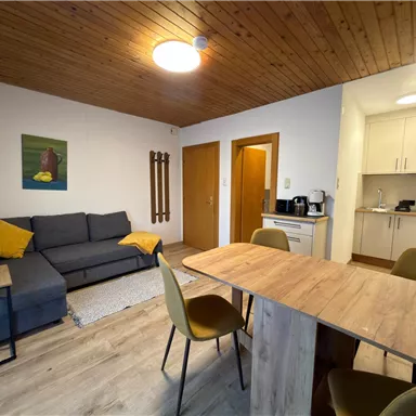 Ein gemütliches Apartment mit einem grauen Sofa, einem Holztisch und gelben Kissen. In der Küche sind moderne Geräte und viel Stauraum vorhanden.