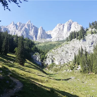 Eine malerische Berglandschaft mit hohen Gipfeln und dichten Wäldern. Der Himmel ist klar und blau, während ein Wanderweg durch die grüne Wiese führt.
