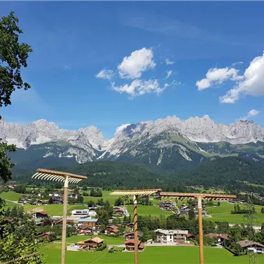 Eine malerische Berglandschaft mit schneebedeckten Gipfeln und grünem Tal. Im Vordergrund sind einige Holzskulpturen zu sehen.