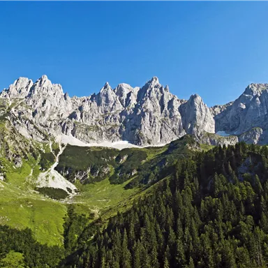 Eine beeindruckende Berglandschaft mit hohen Gipfeln und üppigen grünen Wiesen. Der Himmel ist klar und blau.