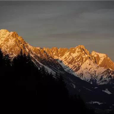 Ein majestätisches Gebirge mit schneebedeckten Gipfeln, die von der Abendsonne beleuchtet werden. Im Vordergrund ist ein dunkler Wald zu sehen.