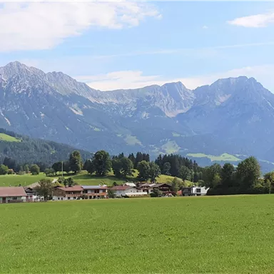 A picturesque landscape with green meadows and impressive mountains in the background. The sky is clear with a few clouds.