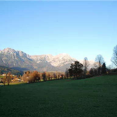 Eine malerische Landschaft mit sanften Hügeln und schneebedeckten Bergen im Hintergrund. Ein klarer blauer Himmel vervollständigt die ruhige Szenerie.