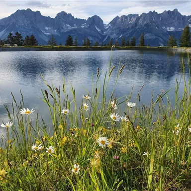A beautiful lake surrounded by meadows with colorful flowers. In the background, majestic mountains can be seen.