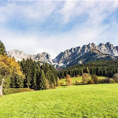 A picturesque landscape with green meadows and forested mountains in the background. The sky is clear with some clouds.
