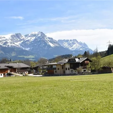Eine malerische Landschaft mit grünen Wiesen und majestätischen Bergen im Hintergrund. Der Himmel ist blau und klar, perfekt für eine idyllische Umgebung.