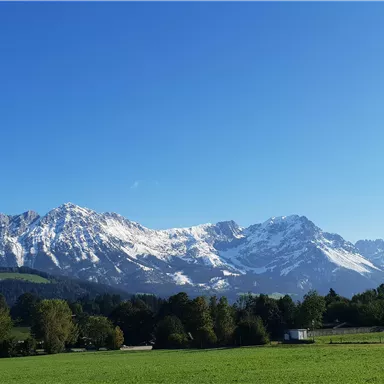 An impressive mountain landscape with snow-capped peaks and a clear blue sky. In the foreground, there is a green meadow.