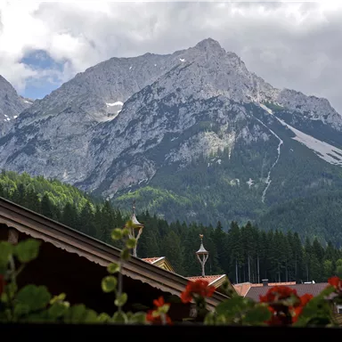 Ein beeindruckender Berg mit grünen Wäldern und teilweise bewölktem Himmel. Im Vordergrund sieht man ein paar Dächer und bunte Blumen.