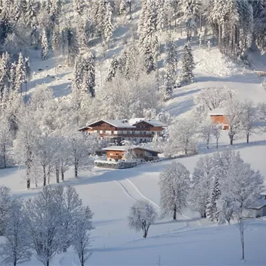 Eine verschneite Landschaft mit mehreren Hütten, umgeben von schneebedeckten Bäumen. Die Idylle strahlt Ruhe und Winterzauber aus.