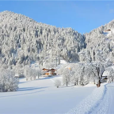 Eine malerische winterliche Landschaft mit schneebedeckten Hügeln und Bäumen. Im Hintergrund sind einige Häuser zwischen der weißen Pracht sichtbar.