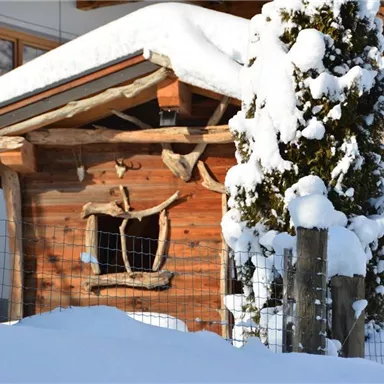 Ein rustikales Holzhaus im Schnee, umgeben von hohen, schneebedeckten Tannen. Die Sonne scheint auf die winterliche Landschaft.