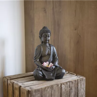 Eine Buddha-Statue sitzt auf einer Holzbox und hält eine Blume in den Händen. Im Hintergrund ist eine Holzwand zu sehen.