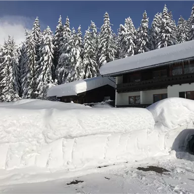 Ein verschneites Landschaftsbild mit hohen, schneebedeckten Tannen. Im Vordergrund ist eine große Schneedecke zu sehen, neben einem Holzhaus und einem Parkplatz.