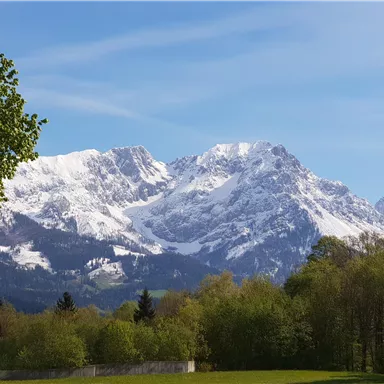 A picturesque mountain landscape with snow-covered peaks and green forest in the foreground. The sky is clear and blue.
