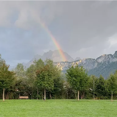 A rainbow over the mountains, surrounded by trees and a green meadow. The sky is cloudy, giving the scene a calm atmosphere.