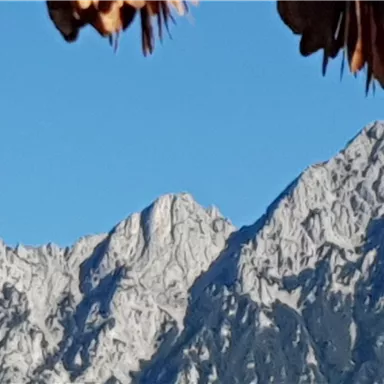 An impressive mountain landscape with snow-capped peaks under a clear blue sky. In the foreground, leaves are visible.