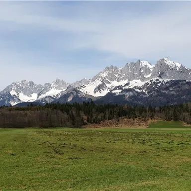 A picturesque mountain landscape with snow-covered peaks and a green valley. The sky is clear and nature is untouched.