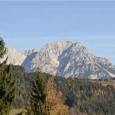 Eine beeindruckende Berglandschaft mit schneebedeckten Gipfeln und grünen Wäldern. Der klare Himmel lässt die Schönheit der Natur strahlen.