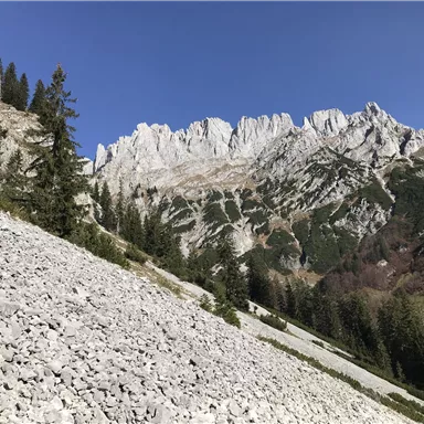 Ein beeindruckendes Gebirgsmassiv mit schroffen Felsen und grünen Bäumen im Vordergrund. Der Himmel ist klar und blau.