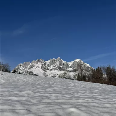 A snow-covered landscape with high mountains in the background. The sky is clear and blue.