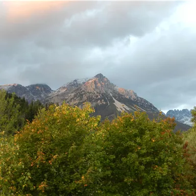 Ein majestätischer Berg mit grauen Wolken im Hintergrund. Im Vordergrund sind grüne Bäume zu sehen.