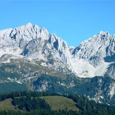 Ein beeindruckendes Bergpanorama mit schneebedeckten Gipfeln und klarem blauen Himmel. Der Vordergrund zeigt grüne Wiesen und Wälder.
