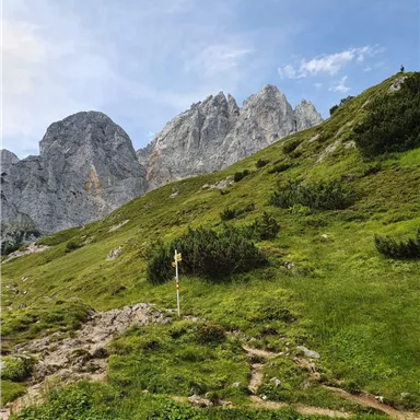 Eine grüne Wiese mit kleinen Sträuchern und majestätischen Berggipfeln im Hintergrund. Der Himmel ist teilweise bewölkt und die Landschaft wirkt einladend für Wanderer.