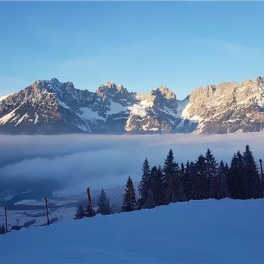An impressive mountain landscape with snow-covered peaks and a clear blue sky. In the foreground, there are snow-covered trees and fog covers the valley.