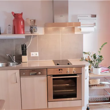 Eine moderne Küche mit Holzschränken und einer glatten Arbeitsfläche. Es gibt einen Herd, ein Waschbecken und einige Küchenutensilien sowie eine Pflanze im Raum.