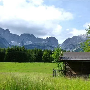 Eine malerische Landschaft mit hohen Bergen im Hintergrund. Im Vordergrund steht eine kleine Holzhütte auf einer grünen Wiese.