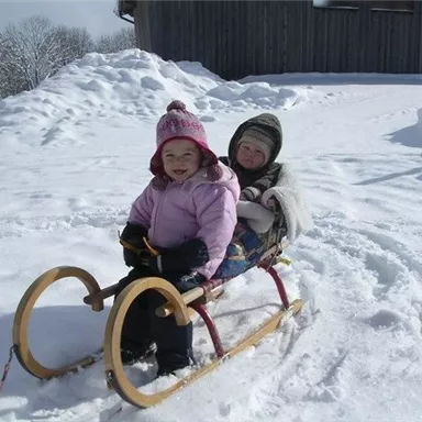 Zwei Kinder sitzen fröhlich auf einem Schlitten im Schnee. Die Sonne scheint und die Umgebung ist winterlich verschneit.