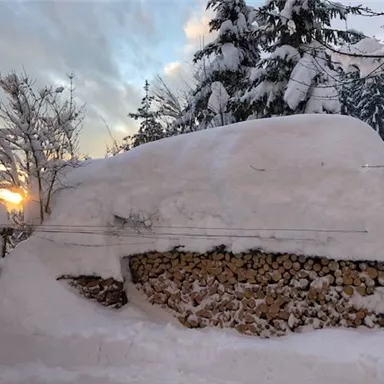 A snow-covered pile of wood under a thick layer of snow. In the background, a sunset is visible between the trees.
