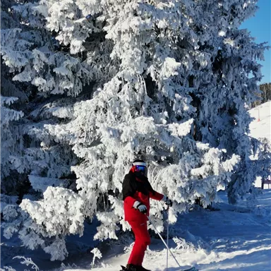 Eine Person in roter Skibekleidung steht auf einer verschneiten Piste. Im Hintergrund sind schneebedeckte Bäume zu sehen.