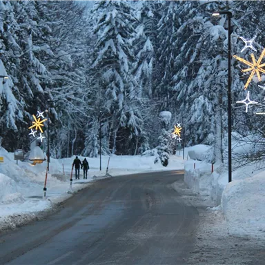 Eine verschneite Straße, umgeben von Bäumen. Weihnachtslichter bringen festliche Stimmung in die winterliche Landschaft.