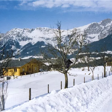 Eine winterliche Landschaft mit schneebedeckten Wiesen und Bergen im Hintergrund. Ein gelbes Haus steht am Rand der gefrorenen Straße.