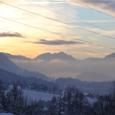 Eine ruhige Winterlandschaft mit schneebedeckten Bergen im Hintergrund. Der Himmel ist in sanften Farben der Dämmerung gefärbt.