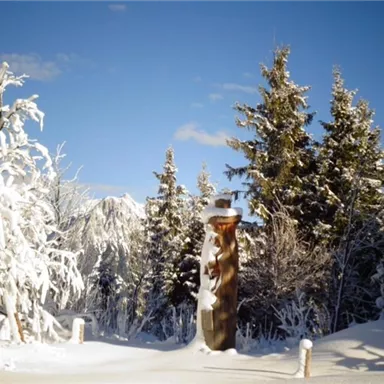A snowy landscape with tall, snow-covered trees and a statue in the center. The sky is clear and blue, conveying a calm winter day.