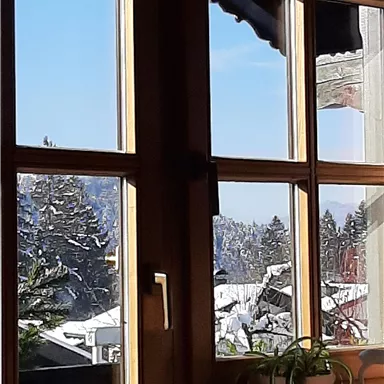 Ein Winterblick durch ein Fenster mit Schnee bedeckten Bäumen und klarem blauen Himmel. Im Vordergrund steht eine Zimmerpflanze auf der Fensterbank.