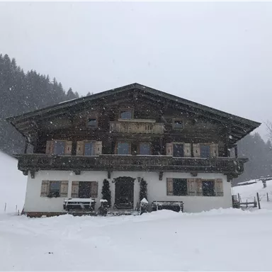A traditional chalet in the snow, surrounded by a winter landscape. The flakes fall gently, giving the scene a peaceful atmosphere.