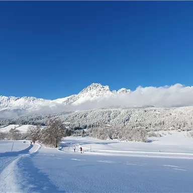 A beautiful winter landscape with snow-covered mountains and a clear blue sky. A quiet path winds through the snowy landscape.