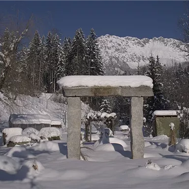 A winter garden with snow-covered stones and a landscape of trees in the background. The mountains are clearly visible and blue against the sky.