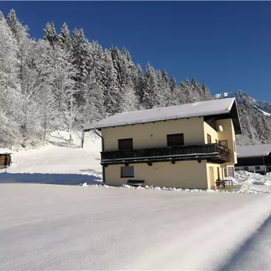 A house in the snow surrounded by snowy trees. The sky is clear and blue.